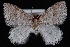  ( - PFC-2007-0335)  @14 [ ] CreativeCommons - Attribution (2010) Unspecified University of British Columbia