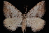  ( - PFC-2007-0354)  @13 [ ] CreativeCommons - Attribution (2010) Unspecified University of British Columbia