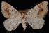  ( - PFC-2007-0358)  @13 [ ] CreativeCommons - Attribution (2010) Unspecified University of British Columbia