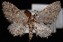  ( - PFC-2007-0274)  @13 [ ] CreativeCommons - Attribution (2010) Unspecified University of British Columbia