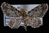  ( - PFC-2007-0281)  @14 [ ] CreativeCommons - Attribution (2010) Unspecified University of British Columbia