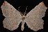  ( - PFC-2007-0386)  @14 [ ] CreativeCommons - Attribution (2010) Unspecified University of British Columbia