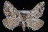  ( - WFBM-07-0001)  @13 [ ] CreativeCommons - Attribution (2010) Unspecified University of British Columbia