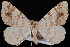  ( - WFBM-07-0004)  @13 [ ] CreativeCommons - Attribution (2010) Unspecified University of British Columbia
