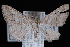  ( - WFBM-07-0008)  @13 [ ] CreativeCommons - Attribution (2010) Unspecified University of British Columbia