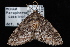  ( - WFBM-07-0030)  @12 [ ] CreativeCommons - Attribution (2010) Unspecified University of British Columbia
