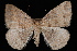  ( - WFBM-07-0041)  @13 [ ] CreativeCommons - Attribution (2010) Unspecified University of British Columbia