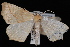  ( - WFBM-07-0066)  @13 [ ] CreativeCommons - Attribution (2010) Unspecified University of British Columbia