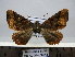  ( - BC AL Geo 00213)  @13 [ ] Copyright (2010) Unspecified Research Collection of Antoine Leveque