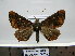 ( - BC AL Geo 00215)  @14 [ ] Copyright (2010) Unspecified Research Collection of Antoine Leveque