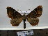 ( - BC AL Geo 00218)  @13 [ ] Copyright (2010) Unspecified Research Collection of Antoine Leveque