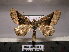  ( - BC AL Geo 00232)  @14 [ ] Copyright (2010) Unspecified Research Collection of Antoine Leveque