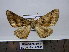  ( - BC AL Geo 00241)  @12 [ ] Copyright (2010) Unspecified Research Collection of Antoine Leveque