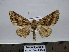  ( - BC AL Geo 00243)  @13 [ ] Copyright (2010) Unspecified Research Collection of Antoine Leveque