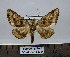  ( - BC AL Geo 00244)  @14 [ ] Copyright (2010) Unspecified Research Collection of Antoine Leveque