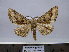  ( - BC AL Geo 00245)  @13 [ ] Copyright (2010) Unspecified Research Collection of Antoine Leveque