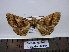  ( - BC AL Geo 00251)  @12 [ ] Copyright (2010) Unspecified Research Collection of Antoine Leveque