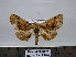  ( - BC AL Geo 00255)  @13 [ ] Copyright (2010) Unspecified Research Collection of Antoine Leveque