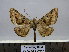  ( - BC AL Geo 00256)  @13 [ ] Copyright (2010) Unspecified Research Collection of Antoine Leveque