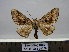  ( - BC AL Geo 00258)  @13 [ ] Copyright (2010) Unspecified Research Collection of Antoine Leveque