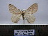  ( - BC AL Geo 00268)  @13 [ ] Copyright (2010) Unspecified Research Collection of Antoine Leveque