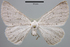  ( - BC AL Geo 00098)  @14 [ ] Copyright (2010) Unspecified Research Collection of Antoine Leveque