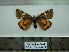  ( - BC AL Geo 00135)  @12 [ ] Copyright (2010) Unspecified Research Collection of Antoine Leveque