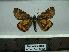  ( - BC AL Geo 00136)  @13 [ ] Copyright (2010) Unspecified Research Collection of Antoine Leveque