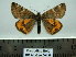  ( - BC AL Geo 00138)  @12 [ ] Copyright (2010) Unspecified Research Collection of Antoine Leveque
