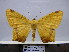  ( - BC AL Geo 00143)  @14 [ ] Copyright (2010) Unspecified Research Collection of Antoine Leveque