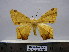  ( - BC AL Geo 00144)  @14 [ ] Copyright (2010) Unspecified Research Collection of Antoine Leveque