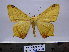  ( - BC AL Geo 00146)  @14 [ ] Copyright (2010) Unspecified Research Collection of Antoine Leveque