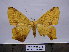  ( - BC AL Geo 00147)  @14 [ ] Copyright (2010) Unspecified Research Collection of Antoine Leveque