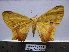  ( - BC AL Geo 00148)  @14 [ ] Copyright (2010) Unspecified Research Collection of Antoine Leveque