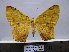 ( - BC AL Geo 00149)  @14 [ ] Copyright (2010) Unspecified Research Collection of Antoine Leveque