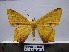  ( - BC AL Geo 00151)  @14 [ ] Copyright (2010) Unspecified Research Collection of Antoine Leveque