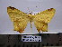  ( - BC AL Geo 00154)  @14 [ ] Copyright (2010) Unspecified Research Collection of Antoine Leveque