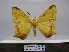  ( - BC AL Geo 00157)  @14 [ ] Copyright (2010) Unspecified Research Collection of Antoine Leveque