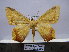  ( - BC AL Geo 00160)  @14 [ ] Copyright (2010) Unspecified Research Collection of Antoine Leveque