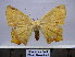  ( - BC AL Geo 00161)  @14 [ ] Copyright (2010) Unspecified Research Collection of Antoine Leveque
