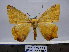  ( - BC AL Geo 00162)  @14 [ ] Copyright (2010) Unspecified Research Collection of Antoine Leveque