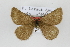  ( - BC AL Geo 00189)  @11 [ ] Copyright (2010) Unspecified Research Collection of Antoine Leveque