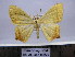  ( - BC AL Geo 00276)  @11 [ ] Copyright (2010) Unspecified Research Collection of Antoine Leveque