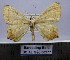  ( - BC AL Geo 00277)  @11 [ ] Copyright (2010) Unspecified Research Collection of Antoine Leveque