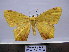  ( - BC AL Geo 00284)  @14 [ ] Copyright (2010) Unspecified Research Collection of Antoine Leveque