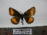  ( - BC AL Geo 00326)  @13 [ ] Copyright (2010) Unspecified Research Collection of Antoine Leveque
