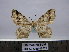  ( - BC AL Geo 00327)  @14 [ ] Copyright (2010) Unspecified Research Collection of Antoine Leveque