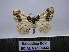  ( - BC AL Geo 00332)  @13 [ ] Copyright (2010) Unspecified Research Collection of Antoine Leveque