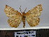  ( - BC AL Geo 00360)  @14 [ ] Copyright (2010) Unspecified Research Collection of Antoine Leveque