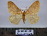  ( - BC AL Geo 00375)  @14 [ ] Copyright (2010) Unspecified Research Collection of Antoine Leveque